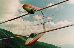 Pilatussp