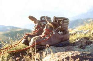 Wandern